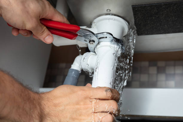 Best Mold removal after water damage  in Morenci, MI
