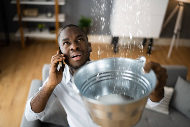 Best Water damage restoration near me  in Morenci, MI