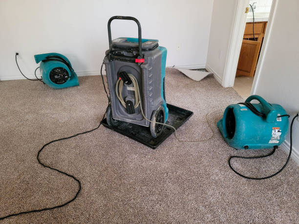 Best Flood damage cleanup  in Morenci, MI
