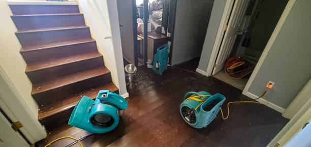 Best Ceiling water damage repair  in Morenci, MI