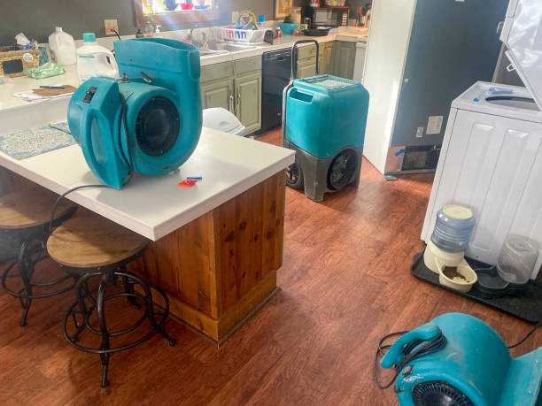 Best 24/7 water damage repair  in Morenci, MI
