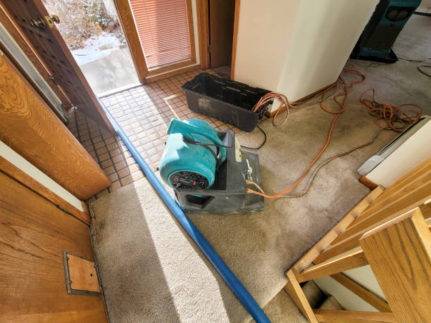  Morenci, MI Water damage restoration Pros