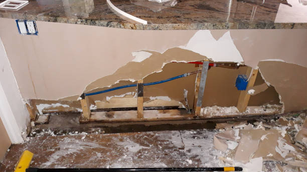 Best Sewage cleanup and water damage restoration  in Morenci, MI