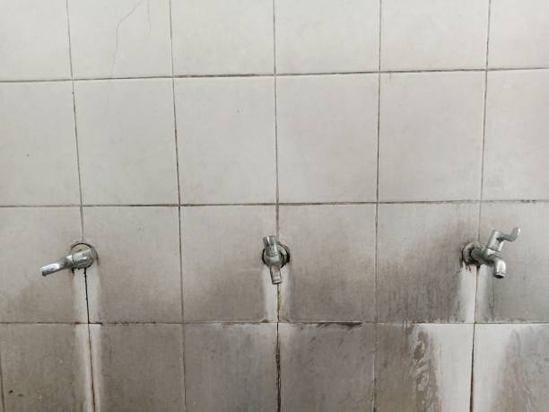 Best 24-hour water damage restoration  in Morenci, MI