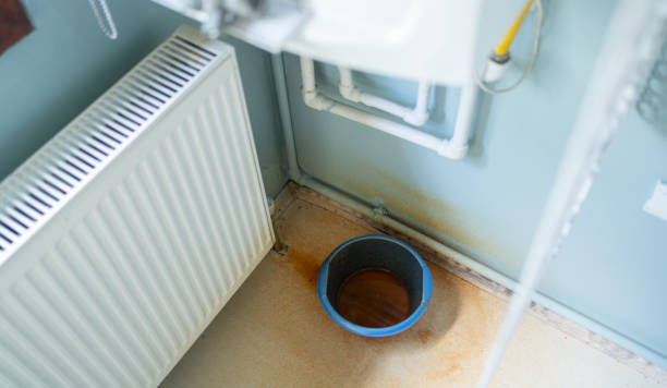 Best Residential water damage restoration  in Morenci, MI