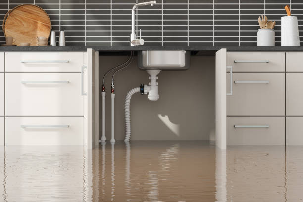 Trusted Morenci, MI Water damage restoration Experts