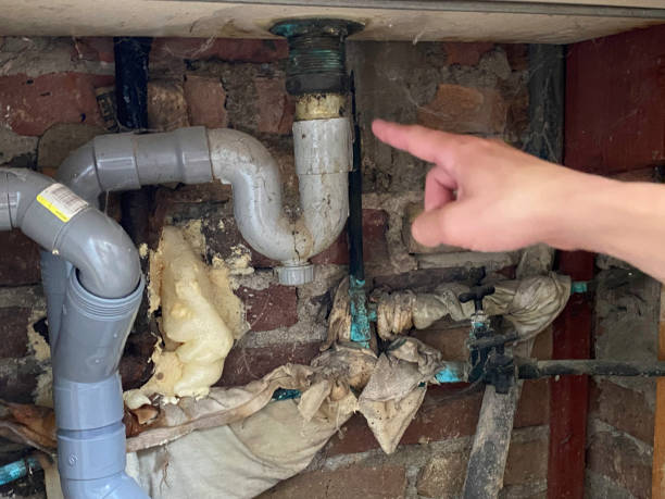 Best Local water damage restoration  in Morenci, MI