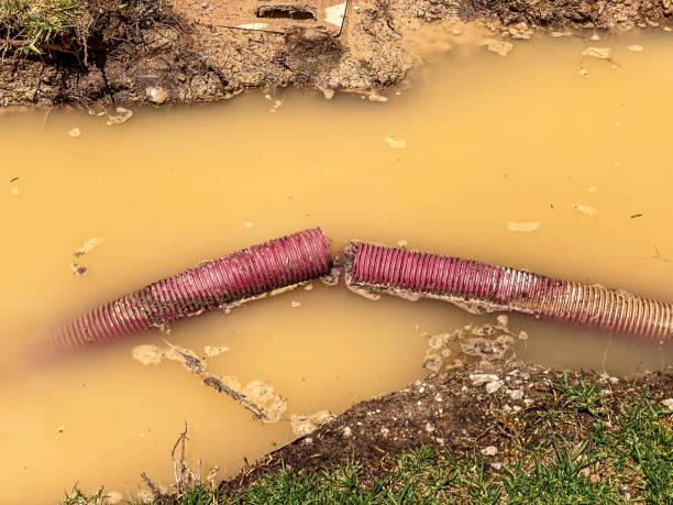 Best Water damage restoration insurance claims  in Morenci, MI