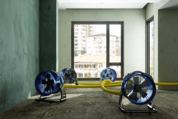 Best Water damage restoration near me  in Morenci, MI